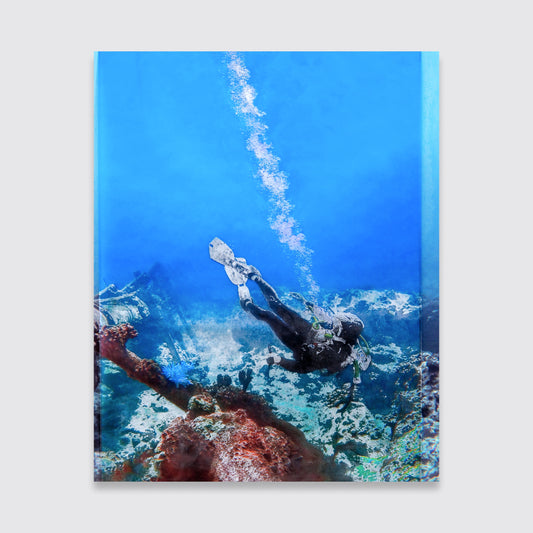 Noospheric (Kona #3515)